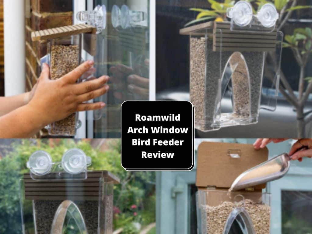 Roamwild Arch Window Bird Feeder
