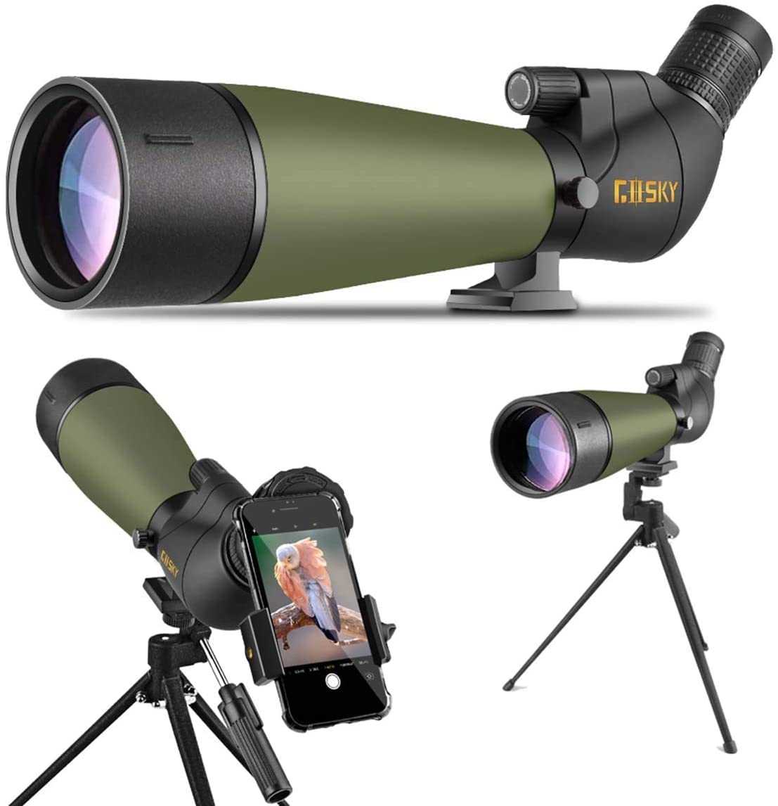 Top 10 Budget Bird Spotting Scopes 2023: Ultimate Buyers Guide